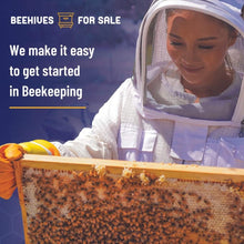 Load image into Gallery viewer, 5 Frame Nucleus Hive (Nuc) of Bees (Pre-Order)