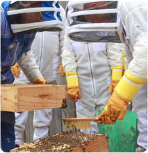 Load image into Gallery viewer, Onsite Beehive Delivery & Mentoring