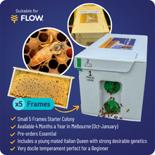 Load image into Gallery viewer, 5 Frame Nucleus Hive (Nuc) of Bees (Pre-Order)